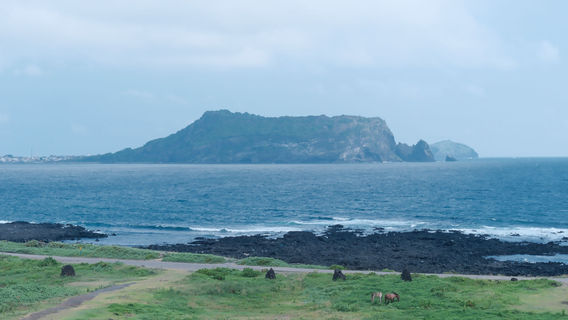 西歸浦市日遊
