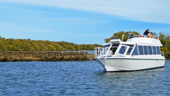 Круизы по реке Порт-Аделаида: 90-минутная круиз / прогулочное судно / круизный катер экскурсия по Порт-Аделаиде