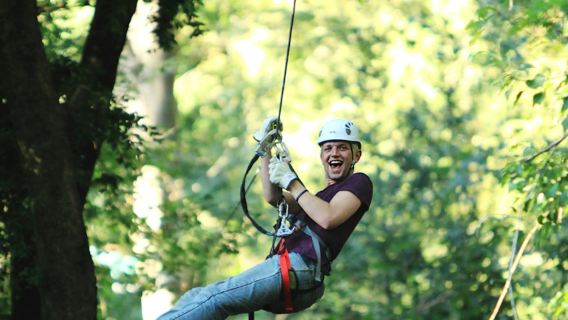 Treetops Adventure: Belgrave Park