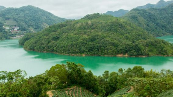 Thousand Island Lake & Pinglin Tea Plantation: Afternoon Tour from Taipei