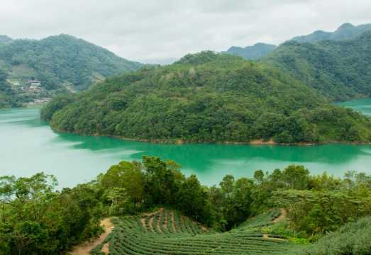 Thousand Island Lake & Pinglin Tea Plantation: Afternoon Tour from Taipei