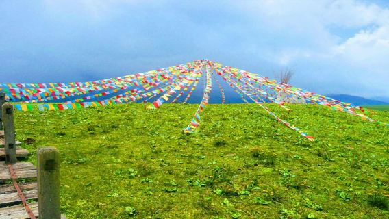 Lijiang Jade Dragon Snow Mountain attraction: Yak Meadow + Blue Moon Valley 1-day tour(Golden Mountain Sunrise)