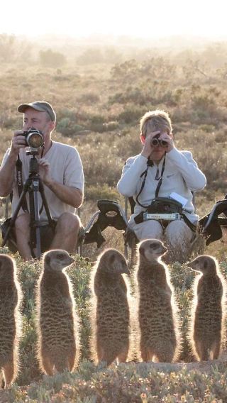 Departure from Windhoek|Naankuse Meerkat Manor 2hr Close Encounter Half-Day Tour