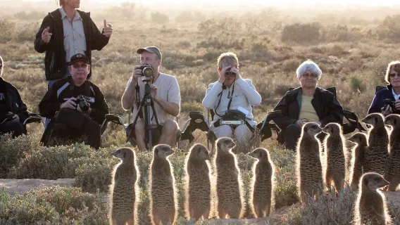 Depart from Windhoek|Naankuse Meerkat Manor 2-hour Close Encounter Half-Day Tour