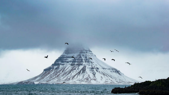 ReykjavikTours