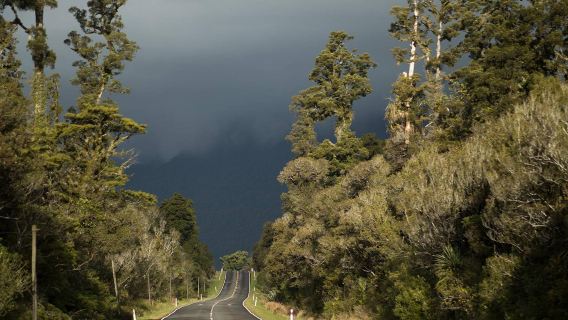 New Zealand Fox West Coast Scenic one-day tour: Fox-Queenstown (one-way) / Fox Glacier/Fox Glacier, South Island, New Zealand - Panoramic bus tour
