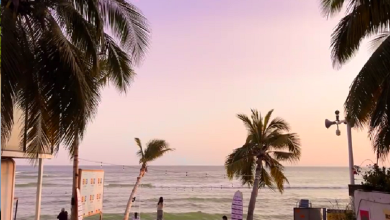 Hainan Lingshui|Boundary Island|Perfume Bay|Nanwan Monkey Island|Xincun Night Market|xx