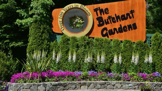 Brentwood BayTours