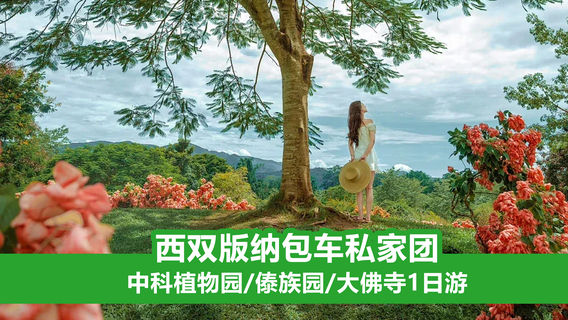 景洪