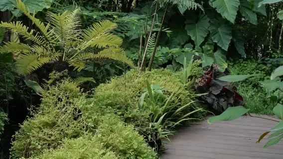 曼谷Once Upon A Thai Wellness and Spa (拉差當利分店)