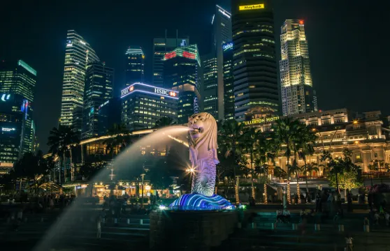 新加坡市區遊覽【魚尾獅+天福宮+新加坡濱海灣花園半日遊】