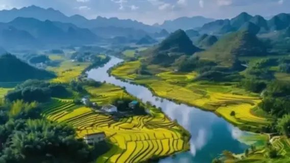 Chongzuo Privattransfer Reiseleiter Übersetzung Begleitung Transfer Reise Messe Geschäftsreise Begleitung zur medizinischen Untersuchung