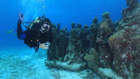Cancun: immersioni subacquee per subacquei certificati, 3 opzioni per immergersi