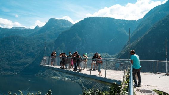From Vienna: Hallstatt and Treetop Path Private Day Trip