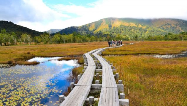 Tokyo: Oze National Park Self-Guided Hike with Overnight Bus