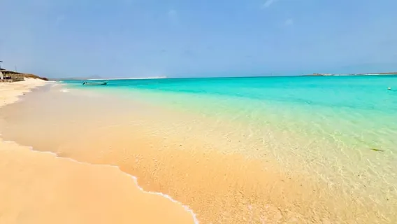Boa Vista : excursion guidée d'une journée avec naufrage et Santa Mónica
