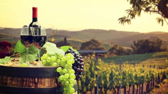 Ronda winery tour from Seville