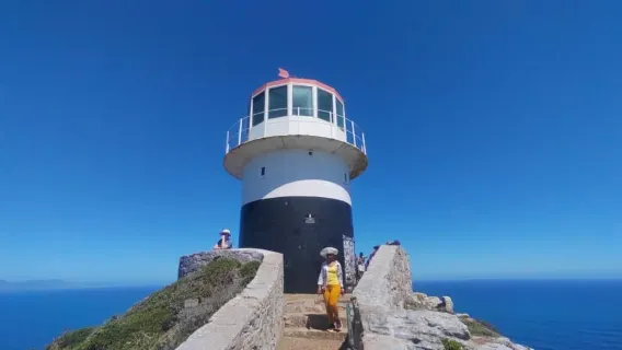 Día completo en Table Mountain, Cabo de Buena Esperanza, colonia de pingüinos