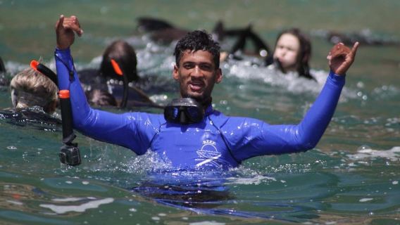 Plettenberg Bay: Seal Swimming Experience