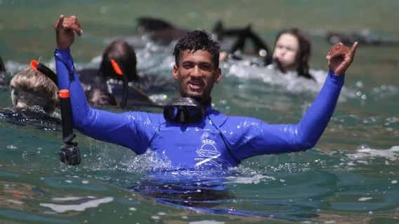 Plettenberg Bay: esperienza di nuoto con le foche