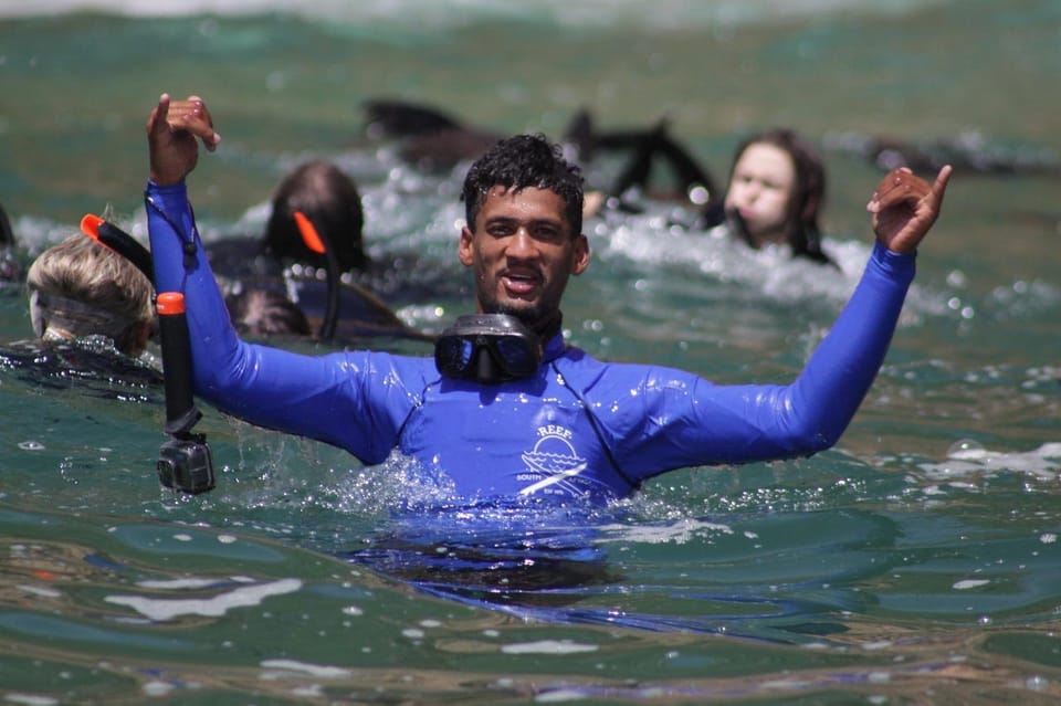 Plettenberg Bay: Seal Swimming Experience