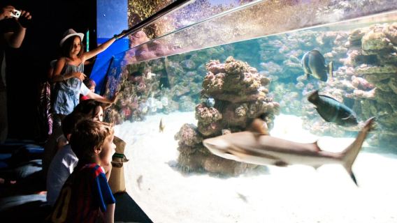 Mallorca: Palma Aquarium Entry Ticket w/ Optional 3D Cinema