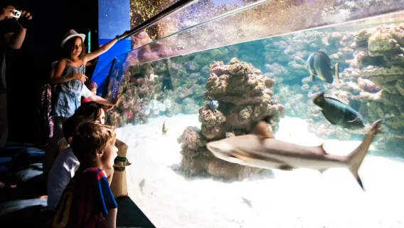 Mallorca: entrada al Palma Aquarium con cine en 3D opcional