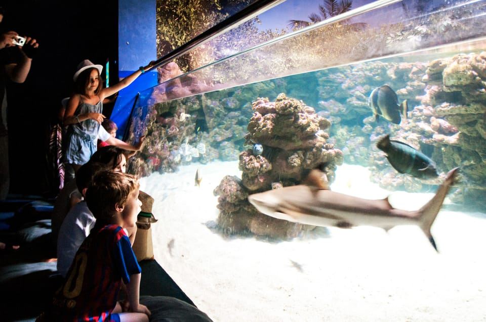 Mallorca: Palma Aquarium Entry Ticket w/ Optional 3D Cinema