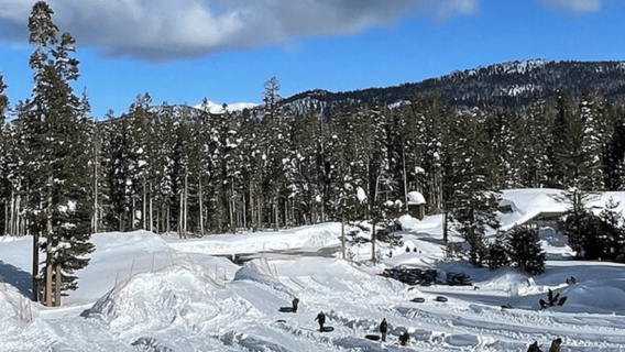 From Cupertino: Small Group Lake Tahoe Tour