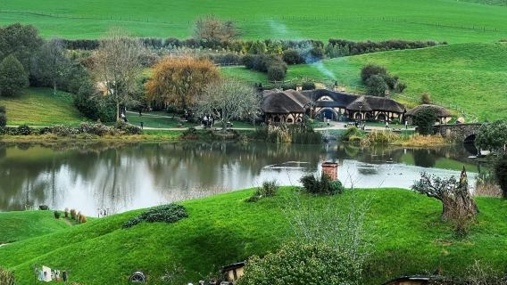紐西蘭奧克蘭市區網紅景點鳥島伊甸山、天空塔等-包車-精選行程