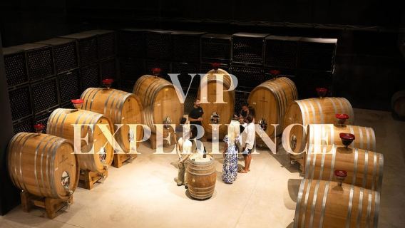 Barcelona: Tour de día completo a Montserrat y vino en grupos pequeños