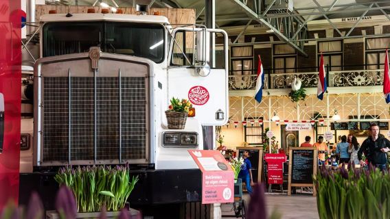 Desde Ámsterdam: Jardines Keukenhof y experiencia con los tulipanes