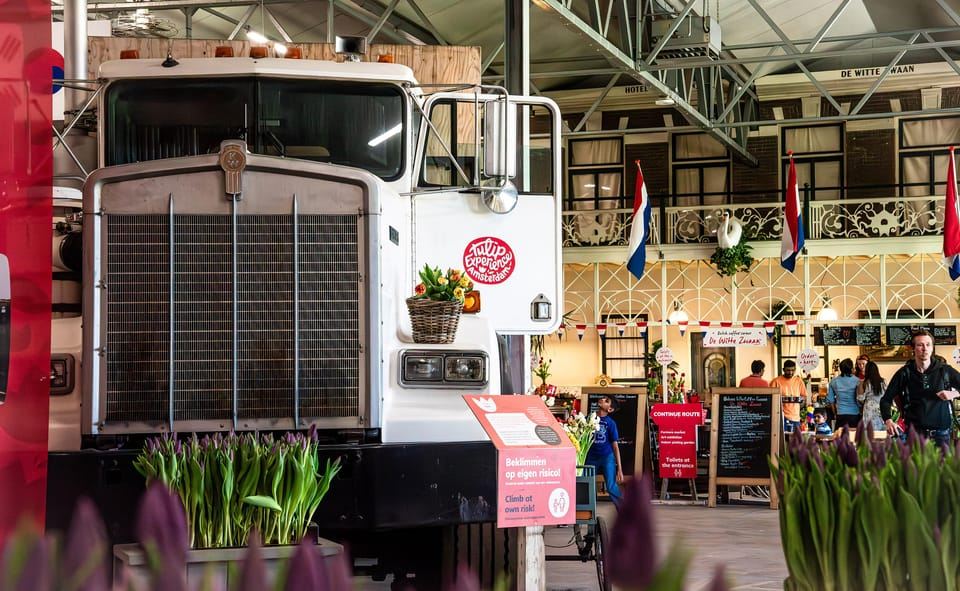 Da Amsterdam: tour dei giardini Keukenhof e dei tulipani