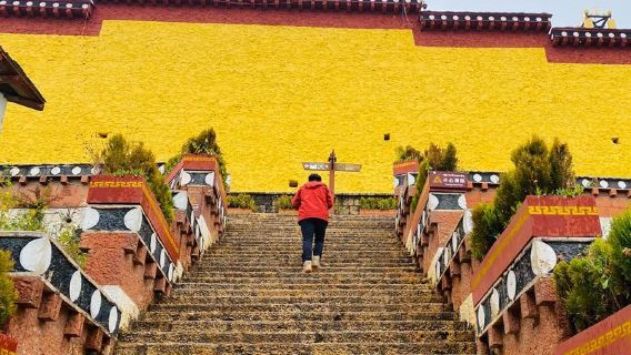 麗江+虎跳峽+香格里拉+松贊林寺一日遊【環納帕海+回程高速