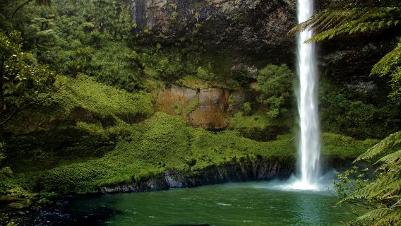 紐西蘭羅托魯瓦懷託摩螢火蟲洞探秘環線一日遊【中文司導10H】