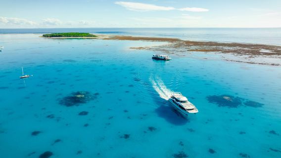 Southern Great Barrier Reef Lady Musgrave Island 1-day tour