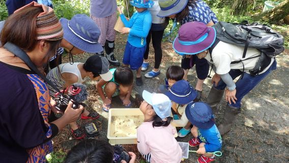 Satoyama Wildlife Observation Workshop Experience at Minamiboso City Tourist Information Center