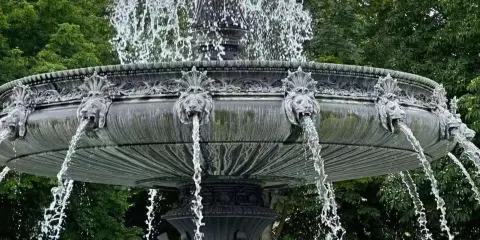 斯圖加特新王宮+中王宮花園+熊湖一日遊