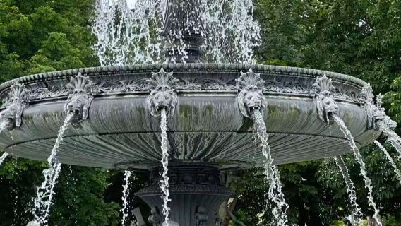 Excursión de un día al Palacio Nuevo de Stuttgart + Jardines del Palacio Medio + Lago del Oso