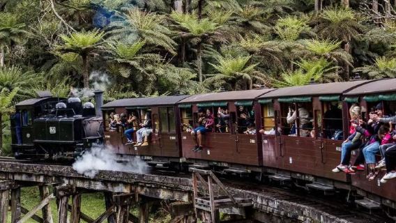 Includes round-trip transfers from meeting point | Melbourne Puffing Billy Railway rainforest tour