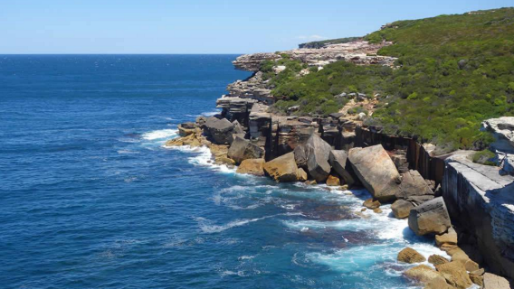 澳洲雪梨皇家國家公園+傑維斯灣來回一日遊【中文專車】