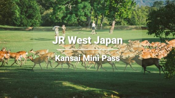 JR Kansai Mini Rail Pass (Electronic Exchange Voucher)