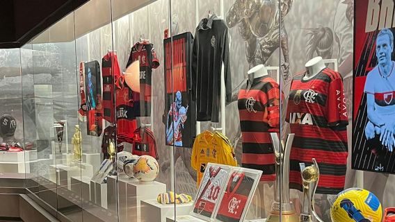 The Flamengo Museum: Entry Ticket