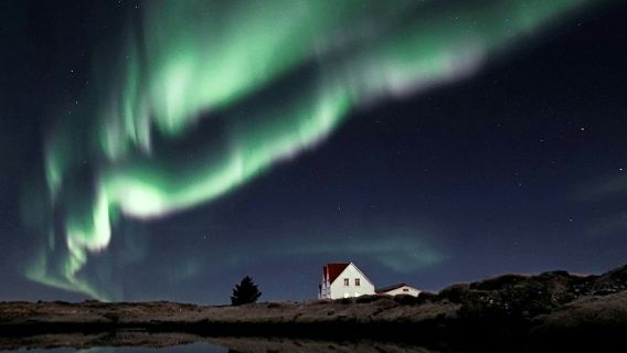 Reykjavík: Small-Group Northern Lights Tour