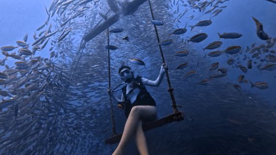 Pulau Impian [Pengalaman Menyelam Scuba 1V1 dengan Rakaman Foto] - Semua foto mentah diberikan pada hari yang sama