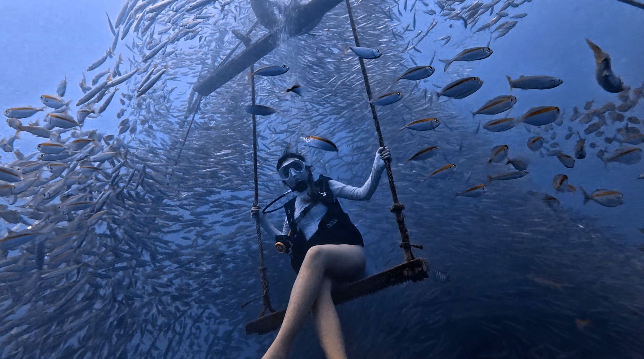 Dreamer Island [1-on-1 Scuba Diving Experience with Underwater Photography] - All raw photos provided on the same day