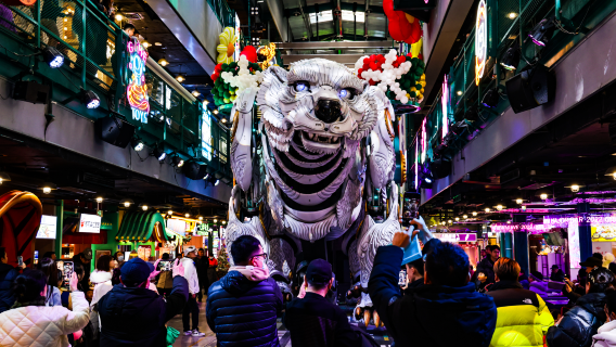 대련·여순 겨울 시즌 한정! 한국어 가이드가 동행하는 프라이빗 데이투어 특별 프로모션