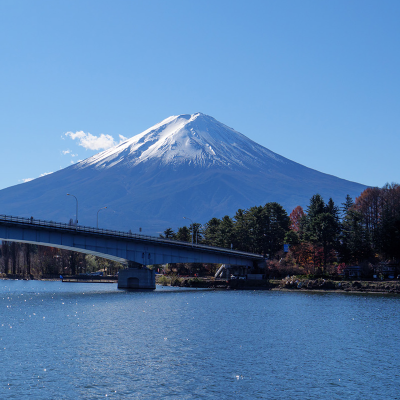 Tiket bus cepat Tokyo Ikebukuro Akihabara Stasiun Telekom Tokyo Gunung Fuji Danau Kawaguchi (sekali jalan/pulang pergi)