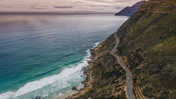 【開普敦包車一日遊】開普敦出發 豪特灣+查普曼公路+好望角