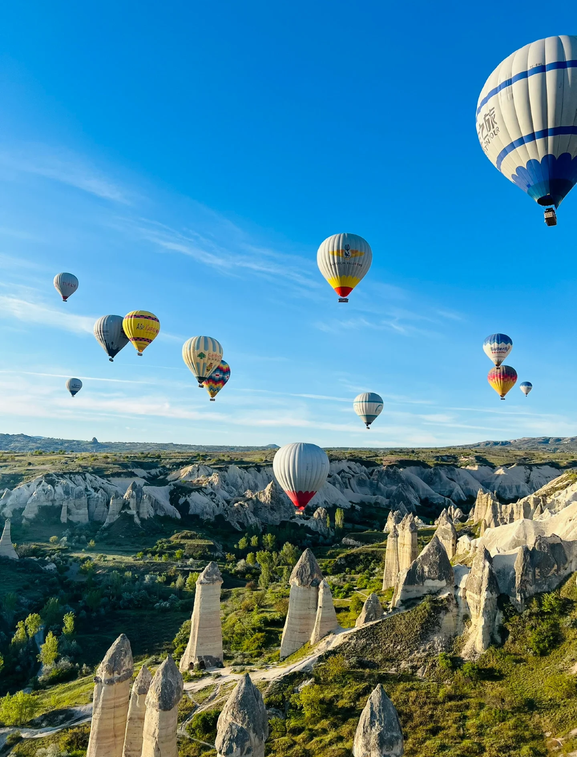 Private Chartered Tour of Cappadocia Hot Air Balloon Ride - Hot Air Balloon/Open-Air Museum/Love Valley